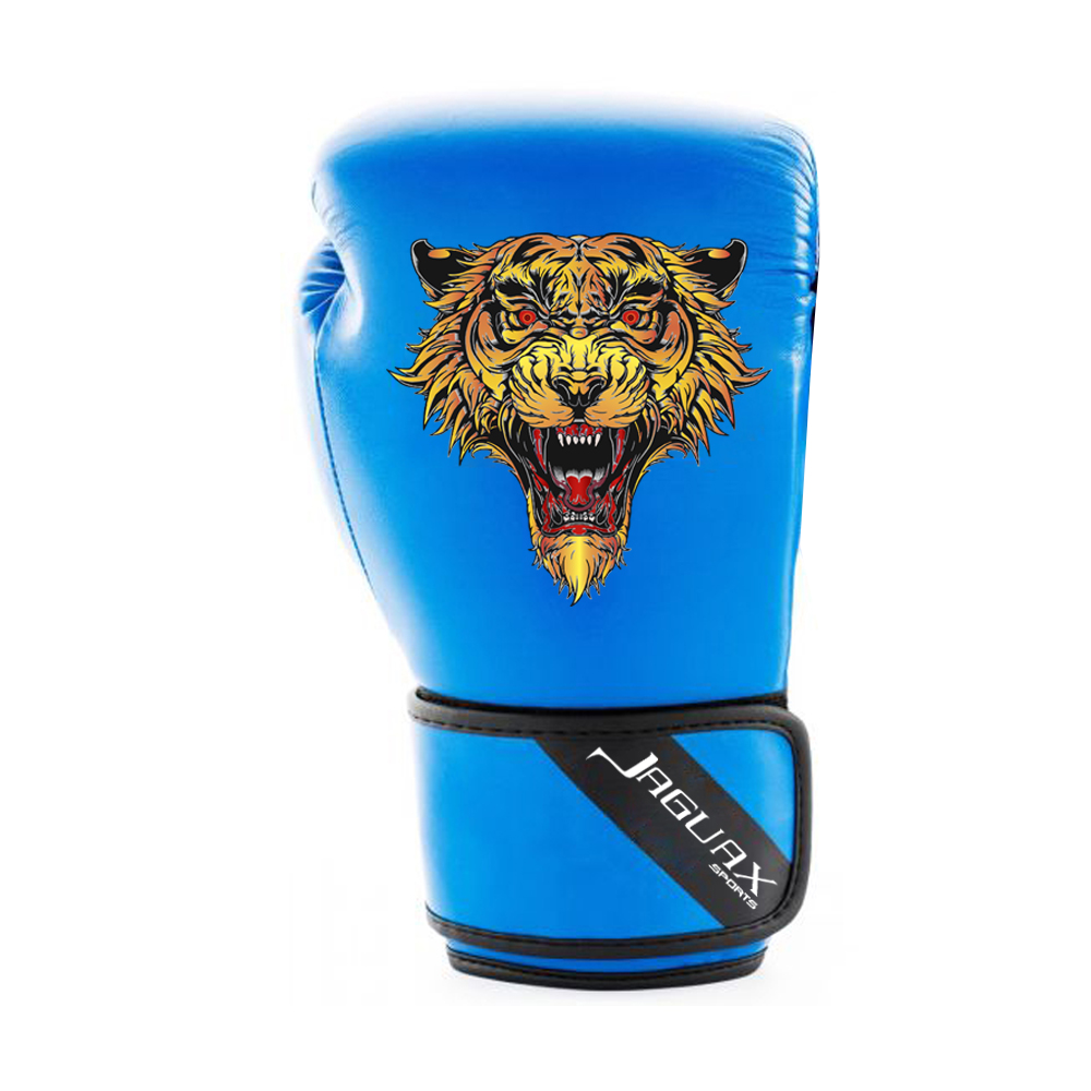 Boxing Gears, Boxing Gloves