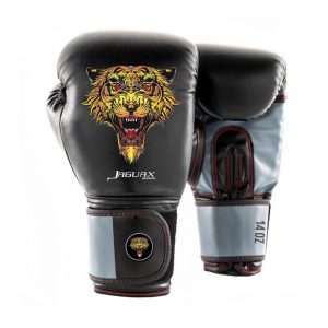 Boxing Gears, Boxing Gloves