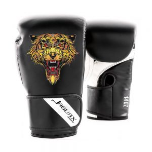 Boxing Gears, Boxing Gloves