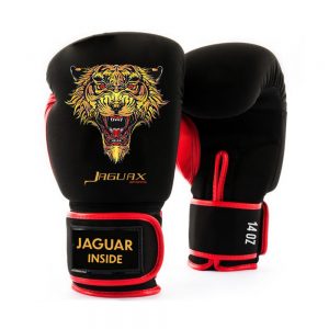 Boxing Gears, Boxing Gloves