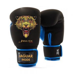 Boxing Gears, Boxing Gloves