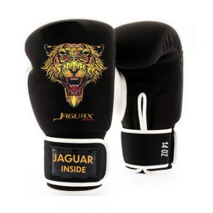 Boxing Gears, Boxing Gloves