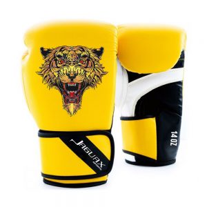Boxing Gears, Boxing Gloves