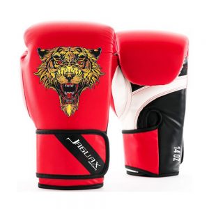 Boxing Gears, Boxing Gloves