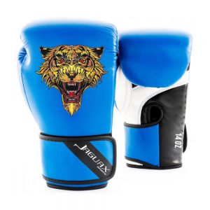 Boxing Gears, Boxing Gloves