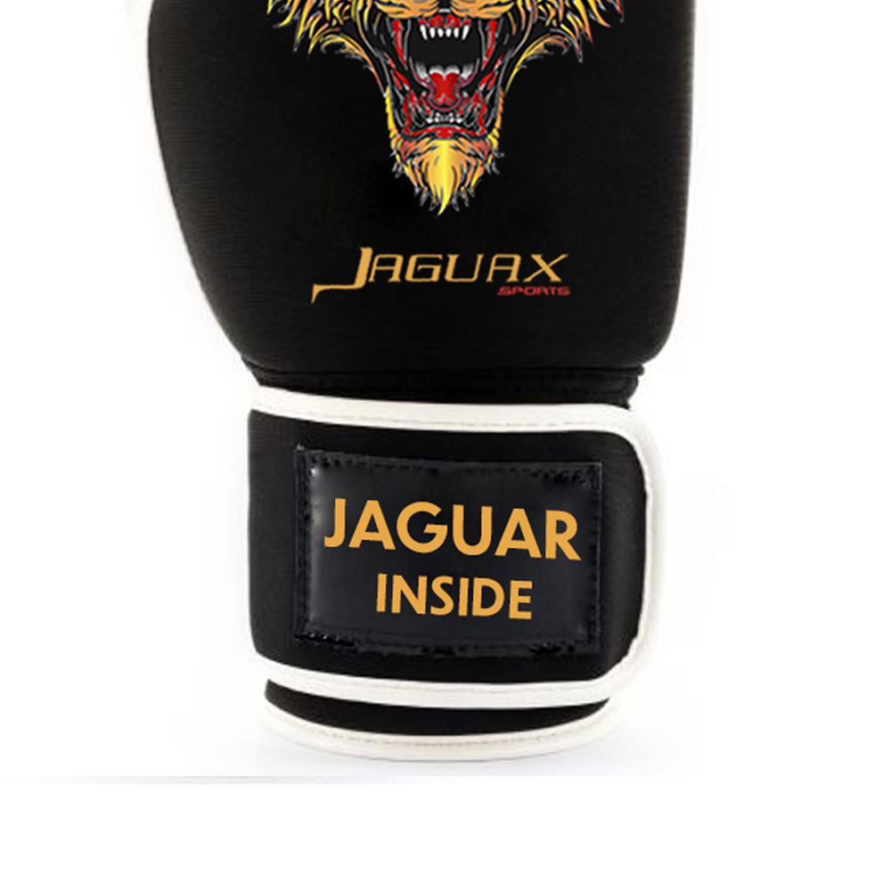 Boxing Gears, Boxing Gloves Boxing Gears, Boxing Gloves