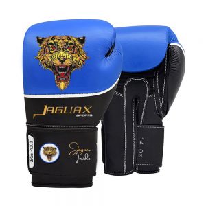 Boxing Gears, Boxing Gloves