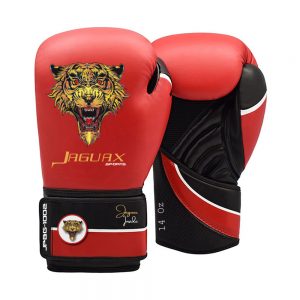 Boxing Gears, Boxing Gloves