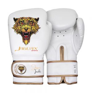 Boxing Gears, Boxing Gloves