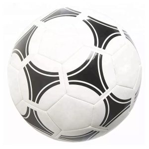 Soccer Ball, The Best Soccer Ball, FIFA Approved Soccer Ball, Pro Soccer Ball, Adidas, Nike, Star